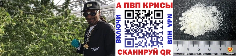 площадка Telegram  Кубинка  A PVP Crystall 
