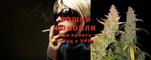 молекула духа Покровск
