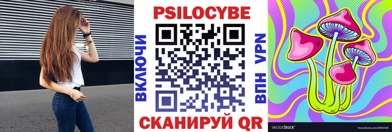 Псилоцибиновые грибы Psilocybine cubensis  купить  цена  Кубинка 